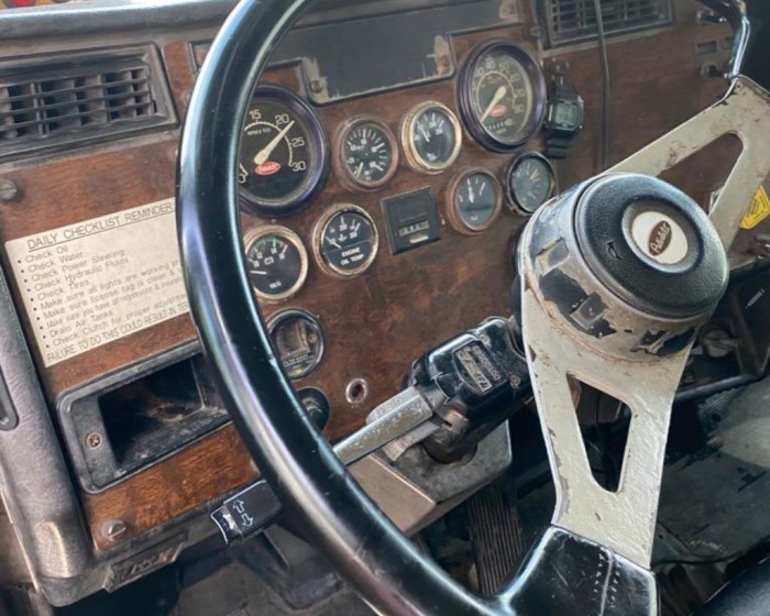 1995 PETERBILT 387 DUMP TRUCK